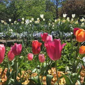 Meet your Posher, Christine